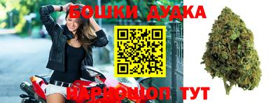 молекула духа Обь
