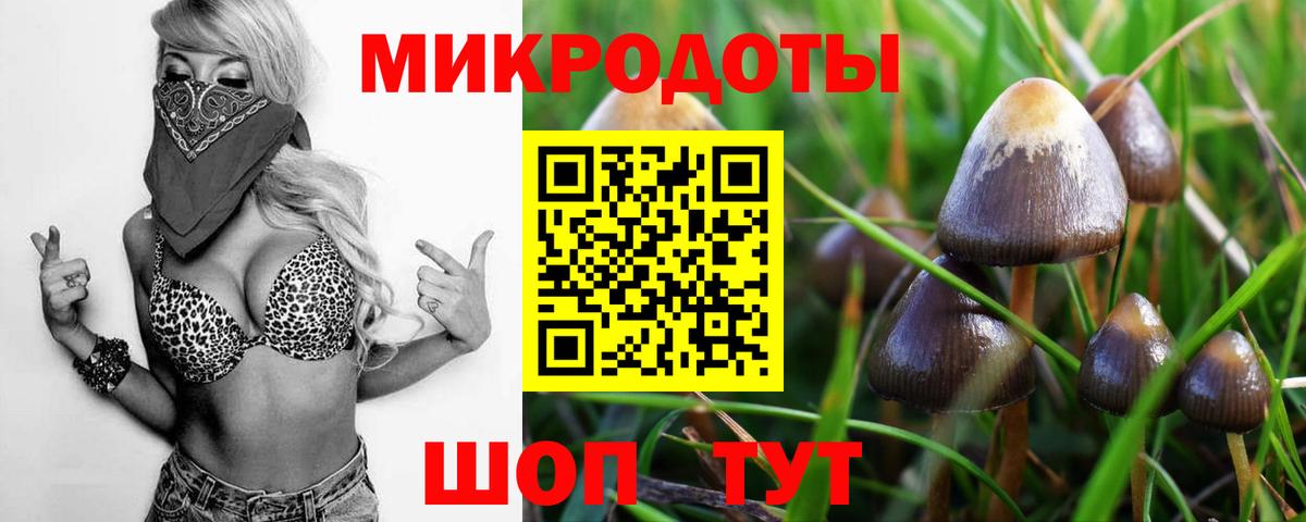 Псилоцибиновые грибы MAGIC MUSHROOMS  Вход с VPN  Славгород  Псилоцибиновые грибы мицелий 
